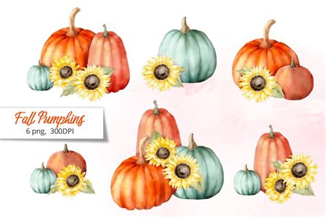 Fall Pumpkin Sublimation Designs PNG Pumpkins Sunflowers