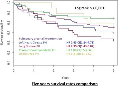 Five Years Survival Rates Comparison Download Scientific Diagram