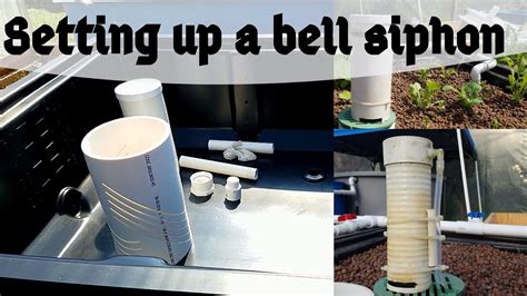 How To Set Up A Bell Siphon Hybrid Aquaponic System Youtube