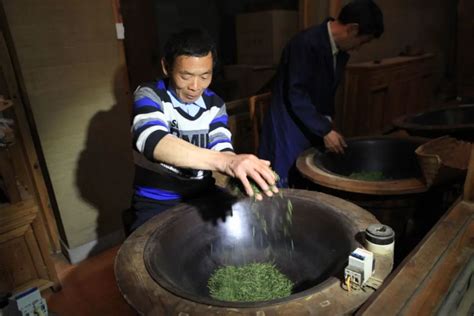 上饶非遗｜婺源绿茶制作技艺：“绿丛遍山野，户户飘茶乡”腾讯新闻