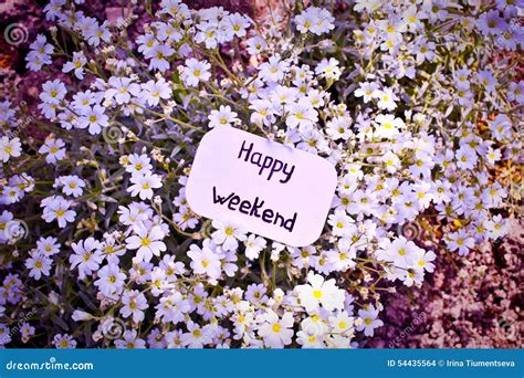 Text Happy Weekend On The White Flowers Stock Photo Image Of Festive