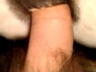 Sweet Bestial Sex In Close Up With My Perverted Husband