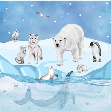 Download Arctic, Animals, Icebear. Royalty-Free Stock Illustration ...