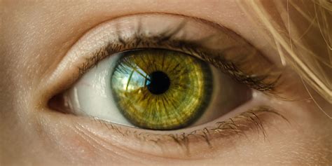 Por Qué Las Personas Con Ojos Verdes Son únicas Cosas Sorprendentes Sobre Los Ojos De Color Verde