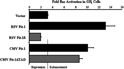 The Pit Domain Dictates Active Repression And Alteration Of Histone