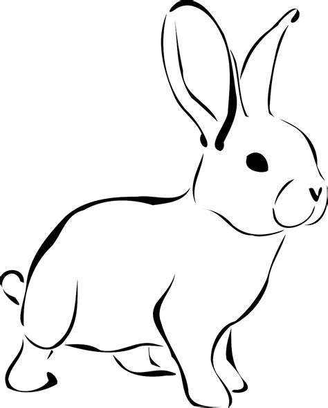 How To Draw A Bunny: The Fast And Easy Way | Caribu