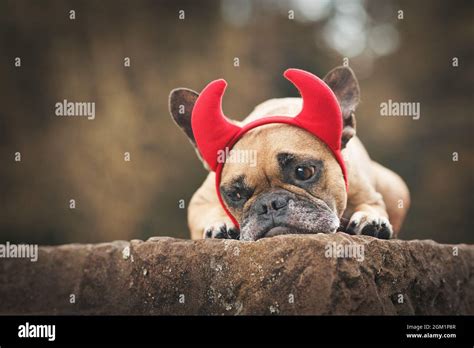 Devil Horns Hi Res Stock Photography And Images Alamy