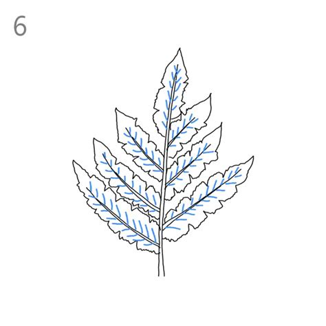 How to Draw a Fern - Step by Step Easy Drawing Guides - Drawing Howtos