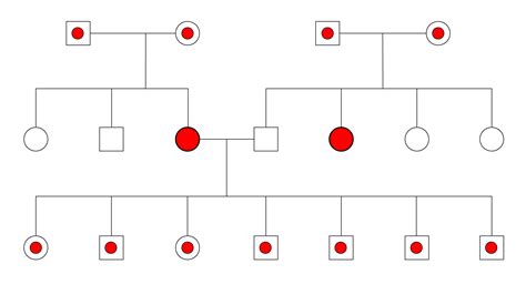 Breadth Of Pedigree Breeding Better Dogs