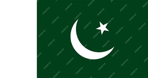 Premium Vector | Pakistan flag in vector