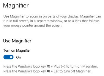 Microsoft Windows Tip for Magnifier