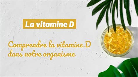 Comprendre le rôle de la vitamine D dans lorganisme synthèse et