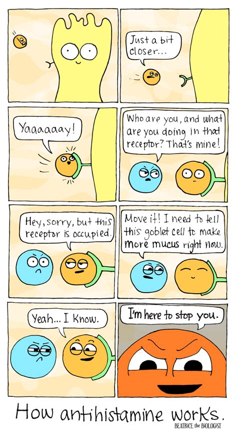 Antihistamine Beatrice The Biologist