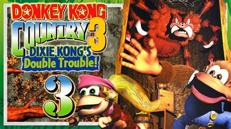 Donkey Kong Country Springende Spinnen F Sser Fiasko Arichs