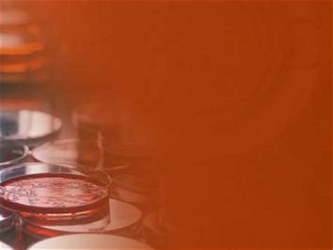 Microbiology 03 PowerPoint Template