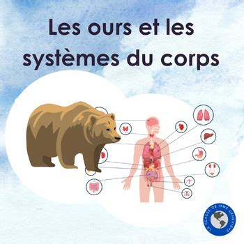 Les Ours Et Les Syst Mes Du Corps A Study Of Human Body Systems And