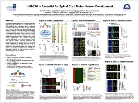 Template Scientific Poster