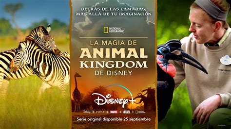 Disney España estrena la nueva serie original La Magia de Animal