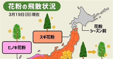 東京もスギ花粉からヒノキ花粉に移行中。飛散のピークはいつ？花粉症の人にとってはつらい季節 ハフポスト News