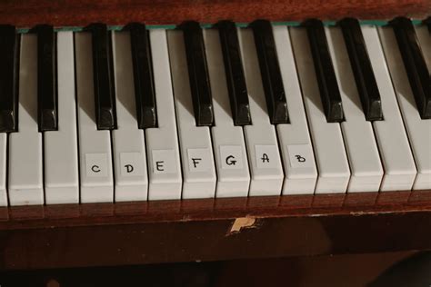 5 Best Piano Keys Labeled With Letters For Beginners - Musician Undine’s lifestyle