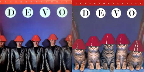 Famous Album Covers Recreated as Cat Photos | PetaPixel