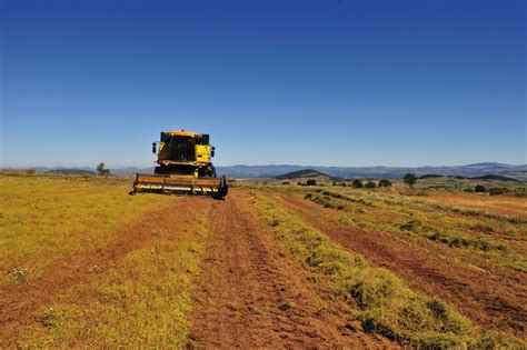 Récolte Et Stockage De La Lentille Terres Inovia