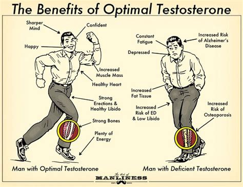 Testosterone Benefits Why Testosterone Is Important