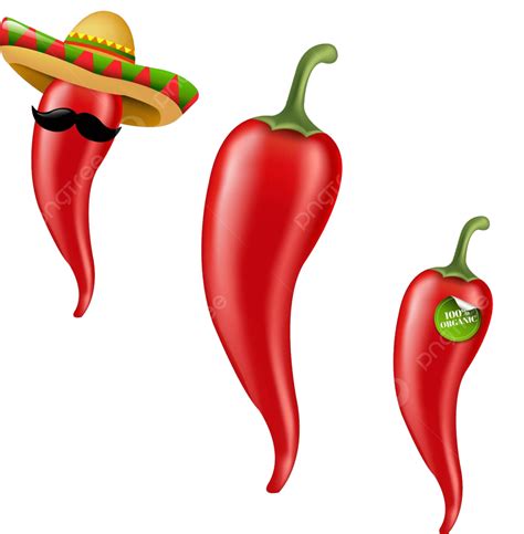 Hot Chilli Pepper Big Set Color Vector Mexican Vector Color Vector Mexican Png And Vector