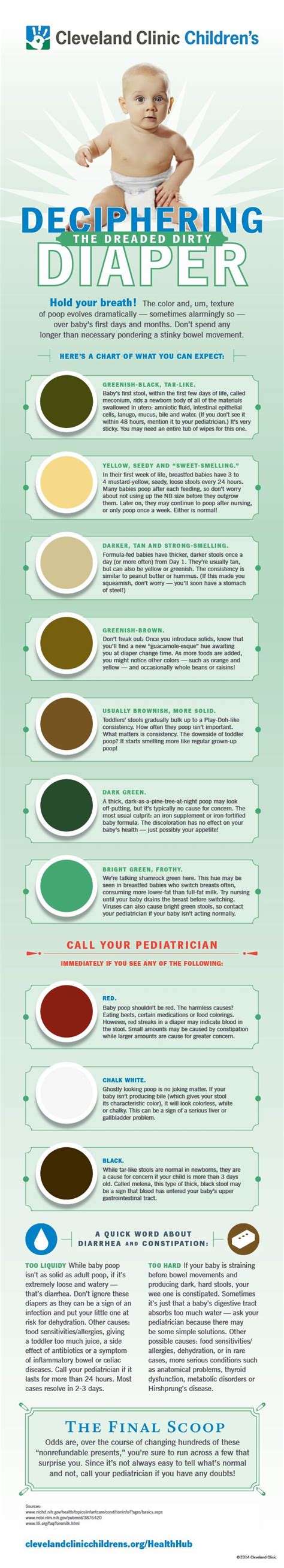 The Color Of Baby Poop And What It Means Infographic Cleveland