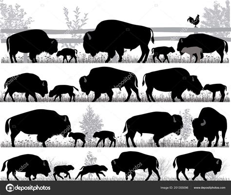 Silhouettes American Bison Buffalo Outdoors — Stock Vector © 160377