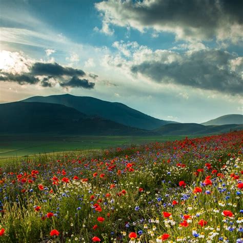 Visit Sellano Portale Turistico Ufficiale Di Sellano Citt Borgo In