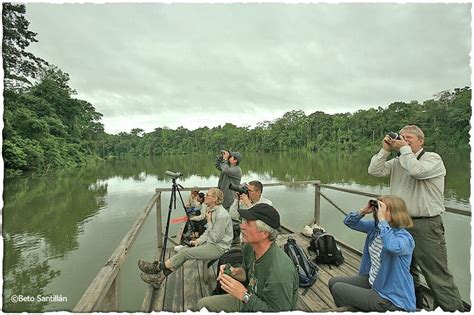 Explore the Enchanting Peruvian Jungle