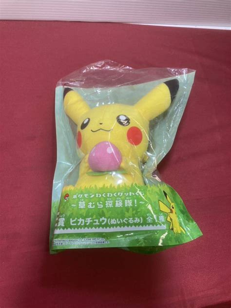 【目立った傷や汚れなし】ピカチュウぬいぐるみ ポケットモンスター ポケモン ポケモンわくわくゲットくじ草むら探検隊限定ぬいぐるみ レア品の落札