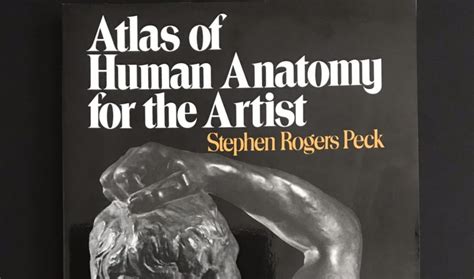 Atlas of Human Anatomy for the Artist – Stephen Rogers Peck – Mary Li Art