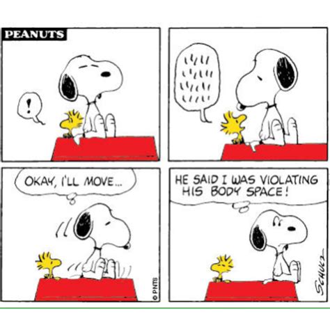 10 Funniest Peanuts Comics Starring Woodstock