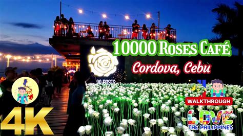 Prepare To Be Amazed Inside The 10000 Roses Café In Cordova Cebu