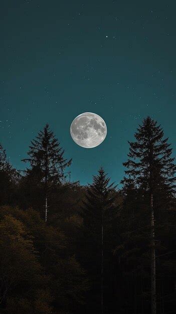 Premium Photo Moon Night View With Forest