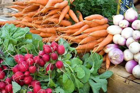 Vegetables for Fall Harvest -- Harvest to Table