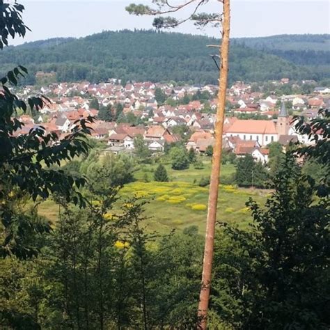 Wandern Pfälzer Rundwanderung mit Einkehr Landgasthof Mischler Tour