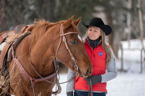 Heartland Paradies Für Pferde Staffel 14 4 Dvds Jpc