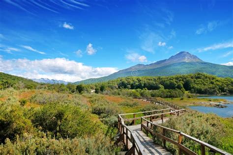 Panoramic View Of Tierra Del Fuego National Park Showing Mountains