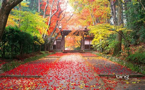 Japanese Scenery Wallpapers - Wallpaper Cave