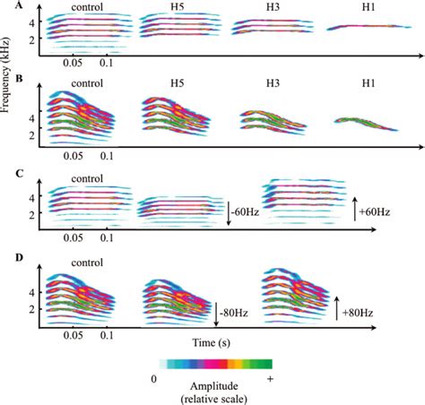 Spectrograms Of Frequency Modifications Of Female And Male Calls Used Download Scientific