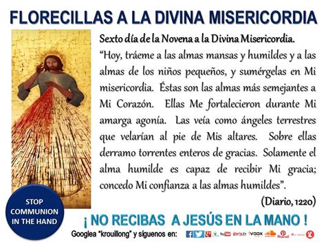 Sexto Dia Coronilla Divina Misericordia Hot Sale Simpleplanning Net