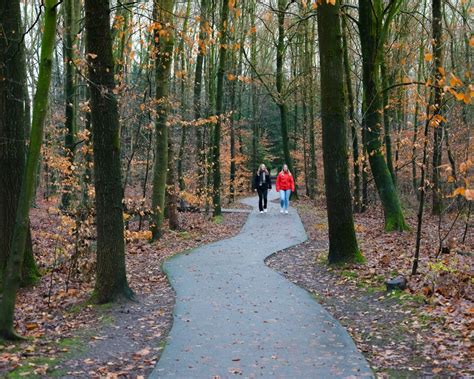 Waterloopbos Former Test Location Visit Noordoostpolder