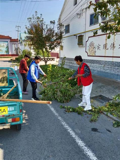 桓台县马桥镇陈庄管区：持续推进城乡环境整治 让乡村美丽又宜居 区县热点鲁中网