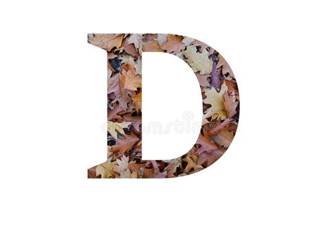 Letter D Of The Alphabet Made With Autumn Brown Oak Leaves Stock Photo