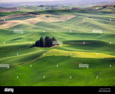 Aerial view of Palouse Region Stock Photo - Alamy