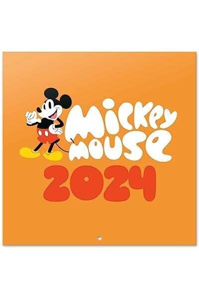 Grupo erik kalender 2024 disney mickey broschürenkalender 2024 30x30