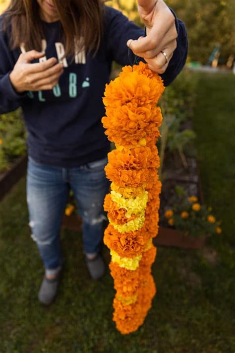 Marigold Garland - Fresh Exchange